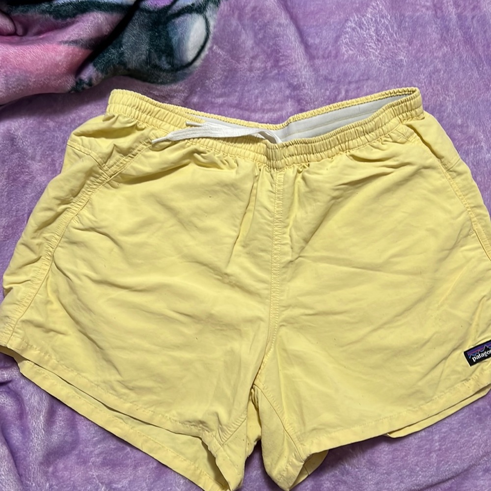 Patagonia baggie shorts